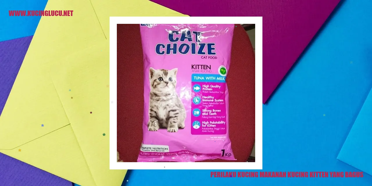 Perilaku Kucing makanan kucing kitten yang bagus