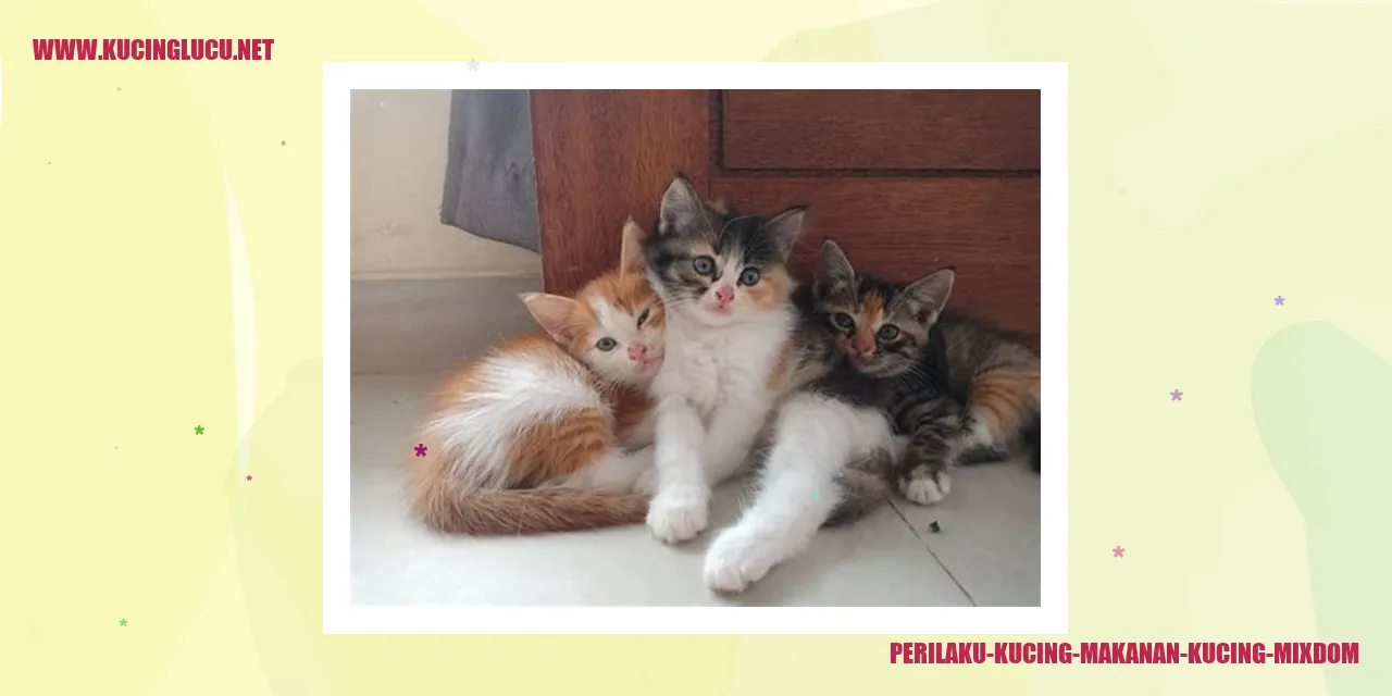 Perilaku Kucing Mengonsumsi Makanan Kucing Mixdom