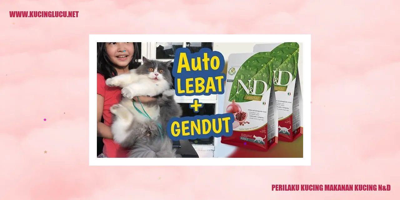 Kucing makan makanan N&D