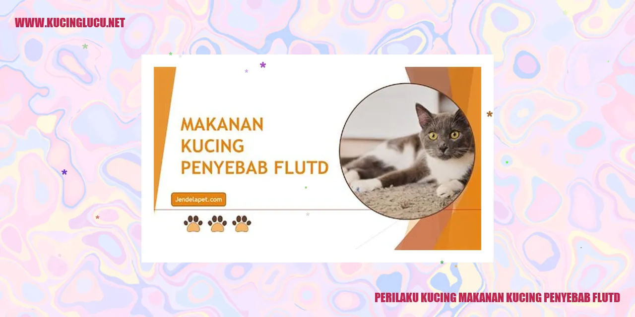 kucing