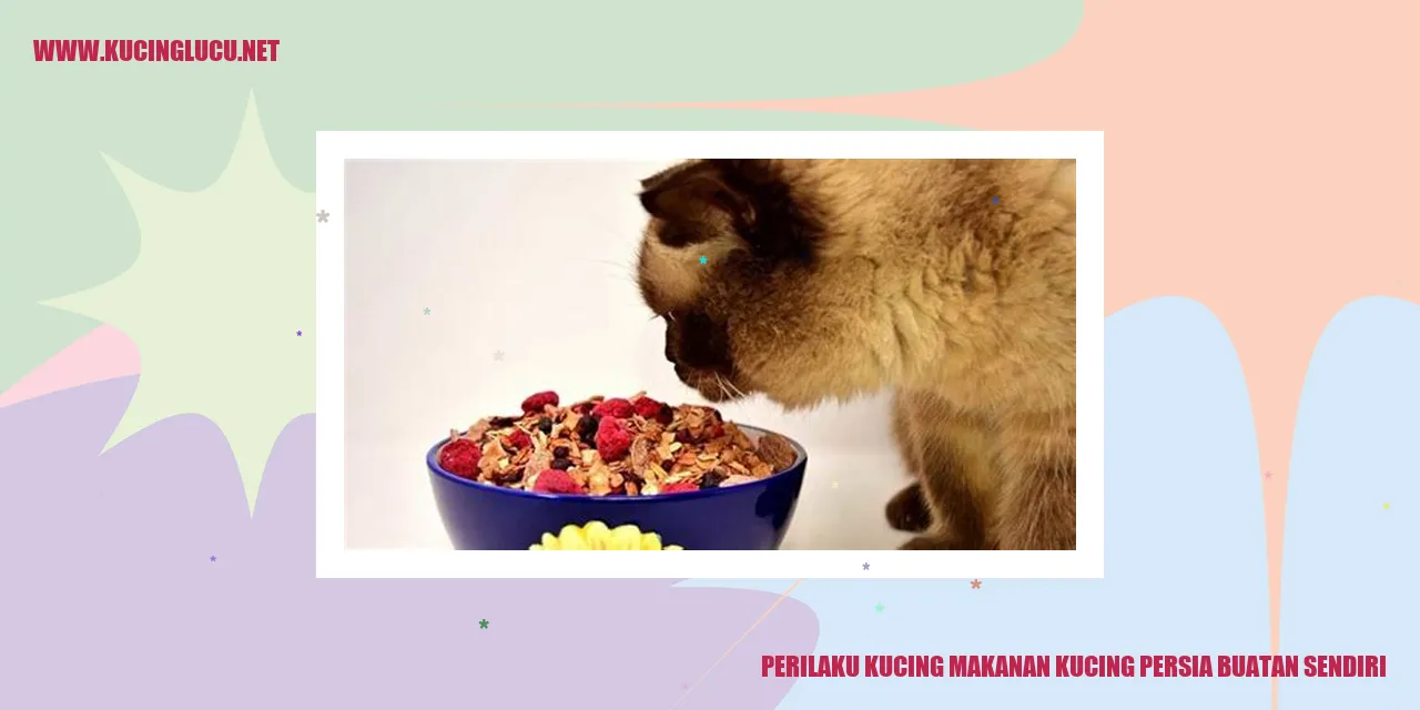 Perilaku Kucing Makanan Kucing Persia Buatan Sendiri