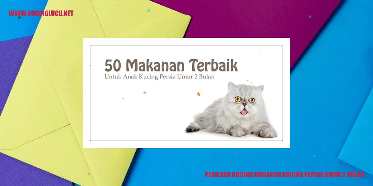 Perilaku Kucing Makanan Kucing Persia Umur 2 Bulan