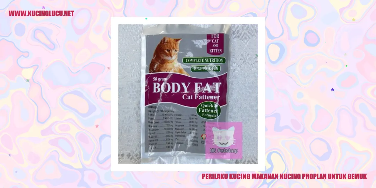 Gambar Kucing Mengonsumsi Makanan Kucing Proplan untuk Menggemukkan