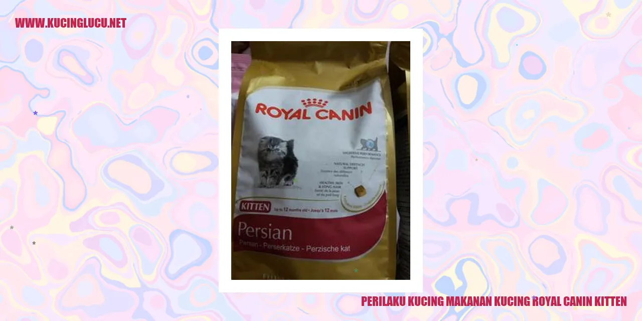 Perilaku Kucing terhadap Makanan Kucing Royal Canin Kitten