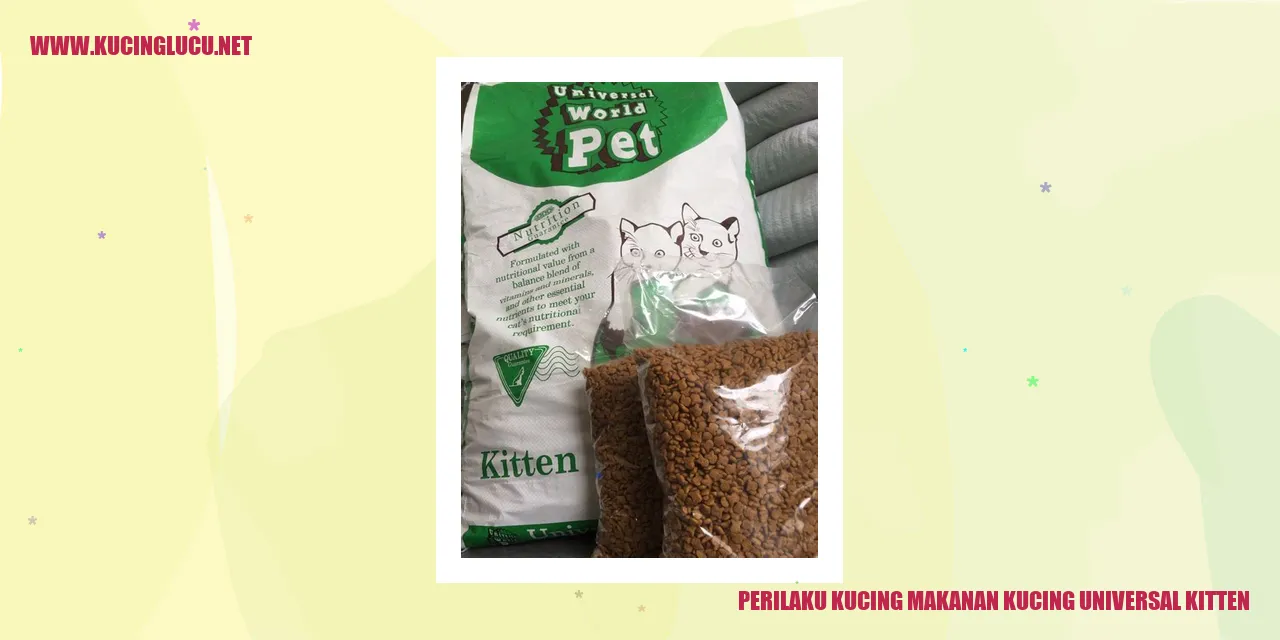 Kucing makanan kucing universal kitten