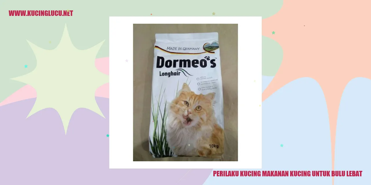 Gambar seekor kucing dengan bulu yang indah