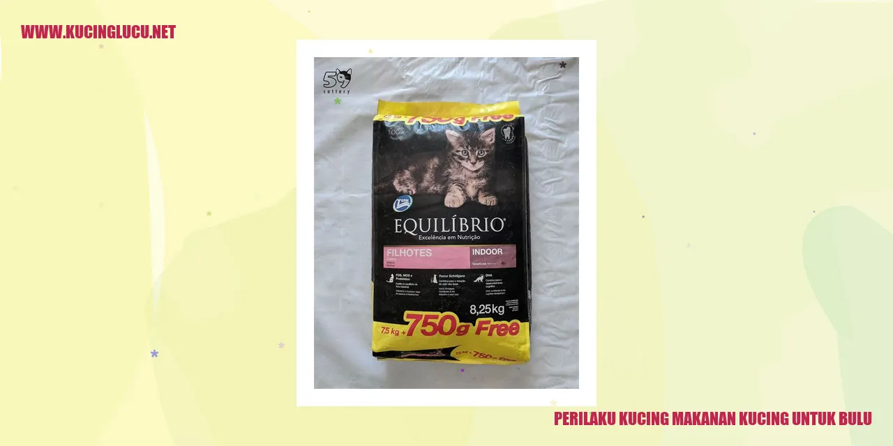 Perilaku Kucing dalam Memilih Makanan Kucing untuk Bulu Indah