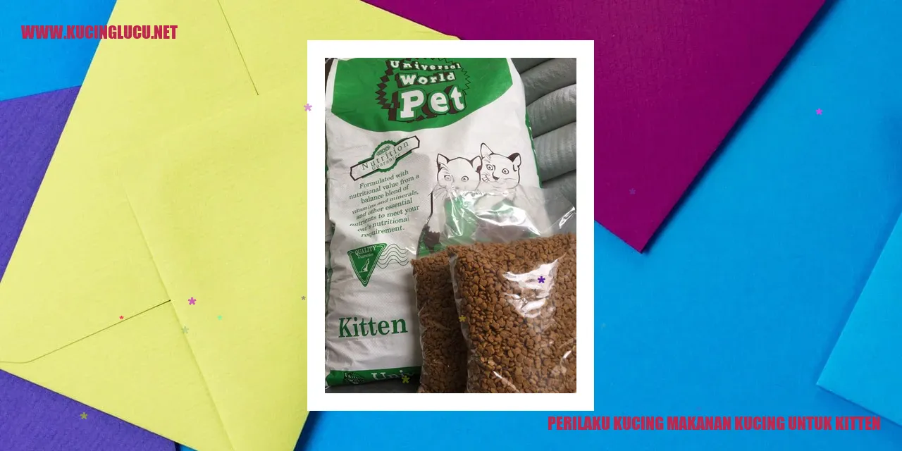 Perilaku Kucing makanan kucing untuk kitten