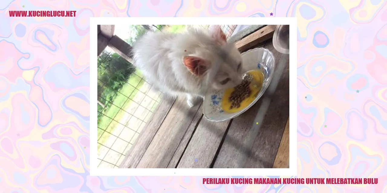 Gambar Kucing dengan Bulu Lebat