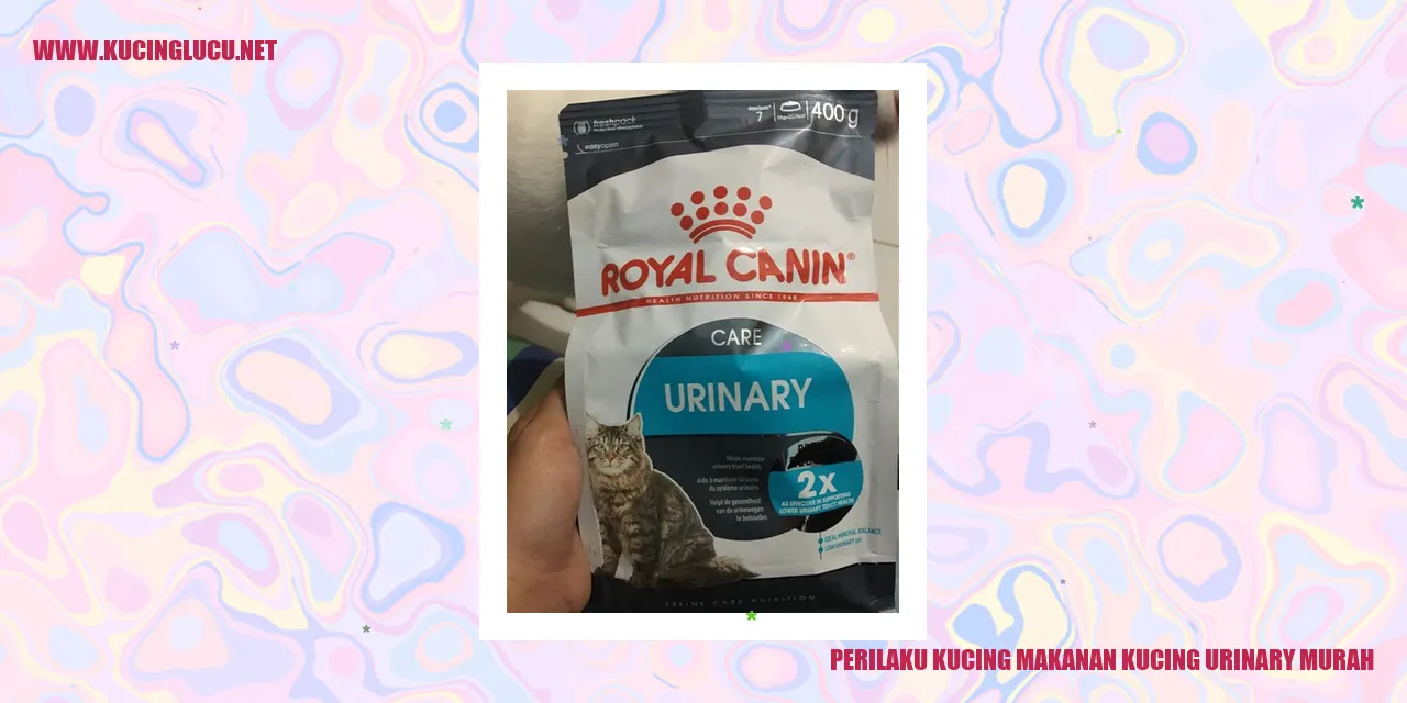 Perilaku Kucing Terkait Pangan Kucing Urinary Hemat