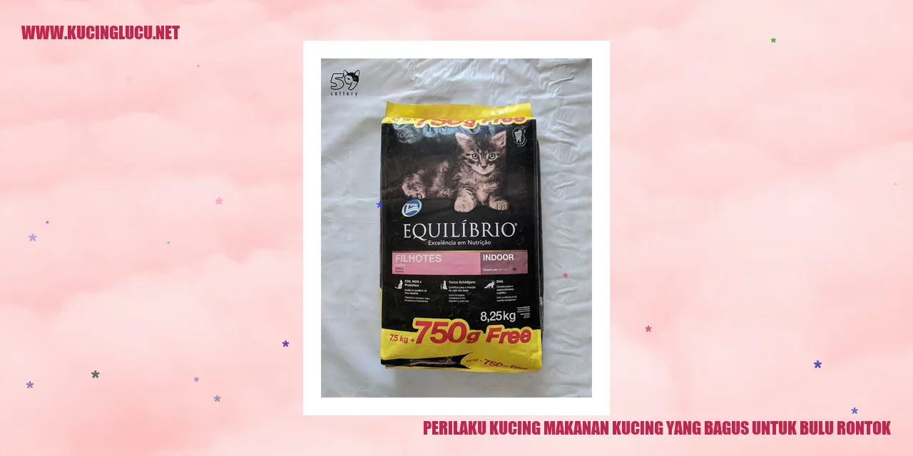 Perilaku Kucing Makanan Kucing yang Bagus untuk Bulu Rontok