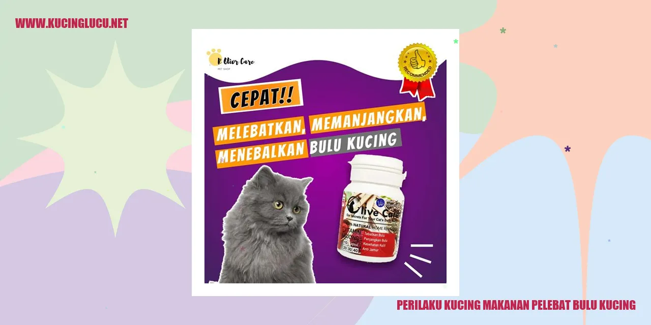 Kucing yang makan makanan pelebat bulu