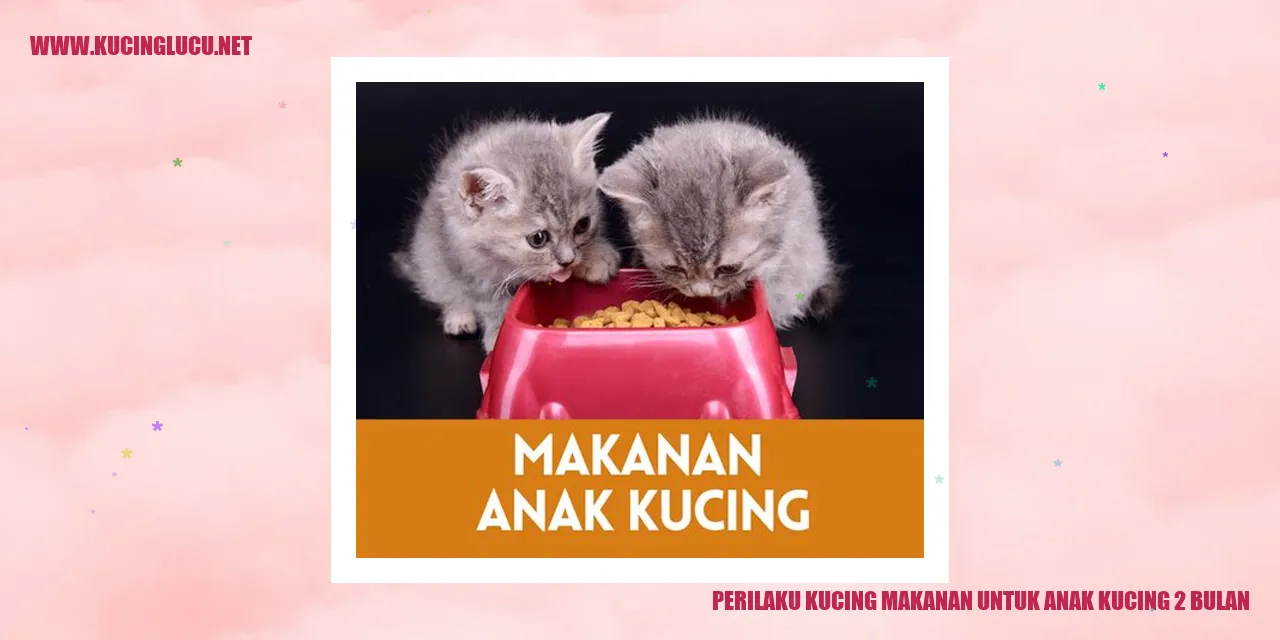 Perilaku Kucing makanan untuk anak kucing 2 bulan
