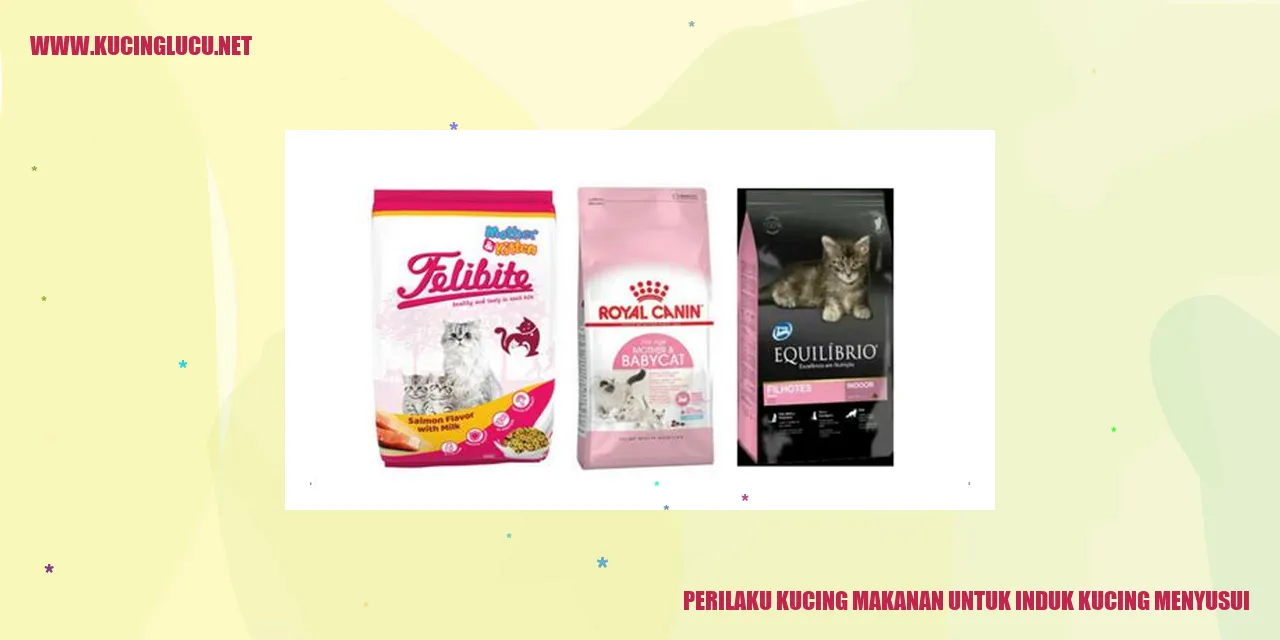 Perilaku Kucing Makanan Induk Kucing Menyusui