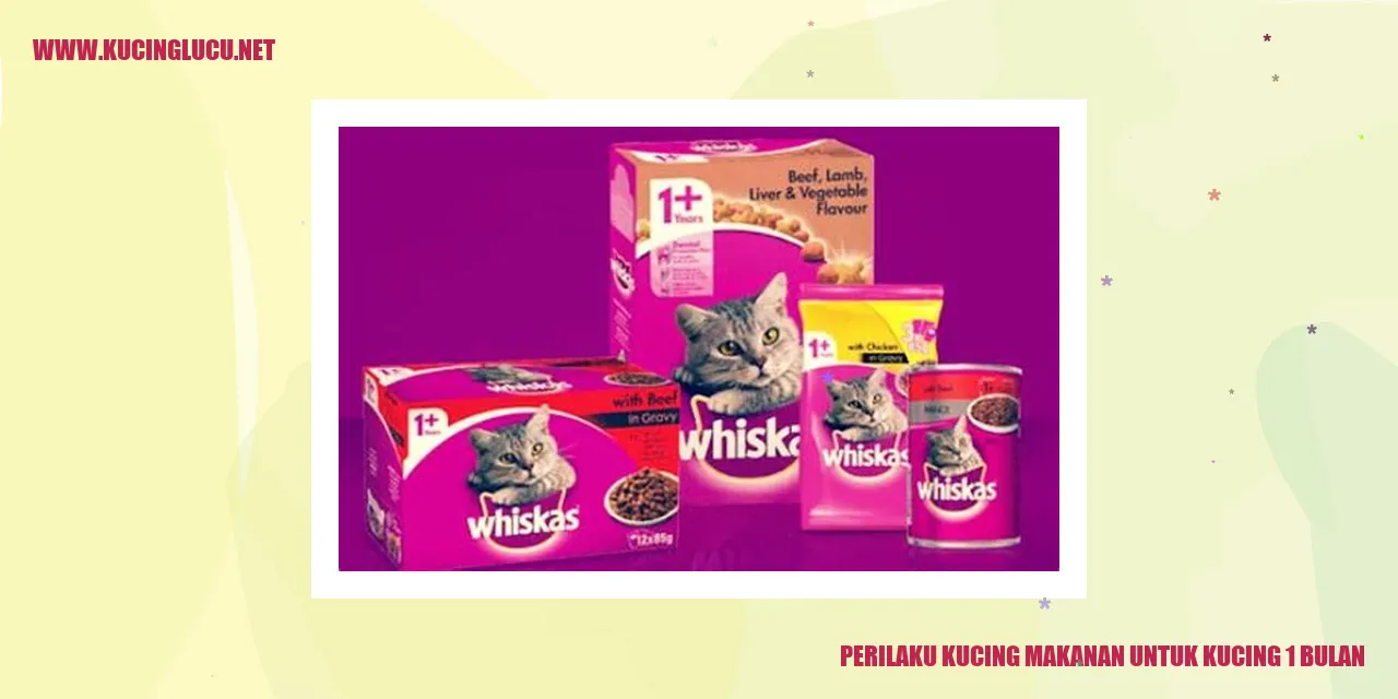 Kucing yang Sedang Makan