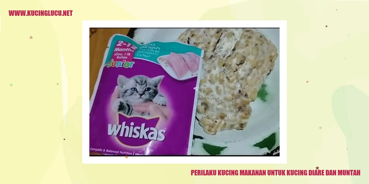 Perilaku Kucing Terkait Makanan untuk Kucing yang Mengalami Diare dan Muntah