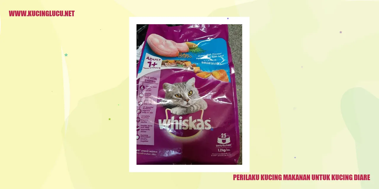 Perilaku Kucing Makanan untuk Kucing Diare