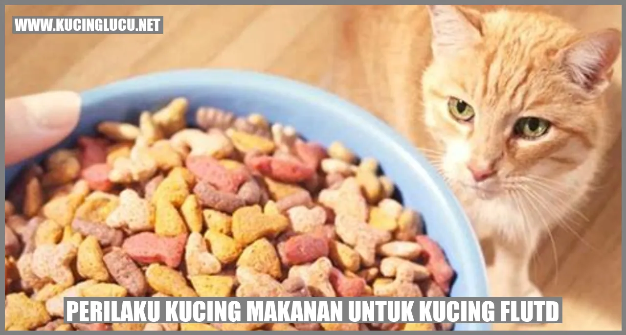 Perilaku Kucing makanan untuk kucing FLUTD
