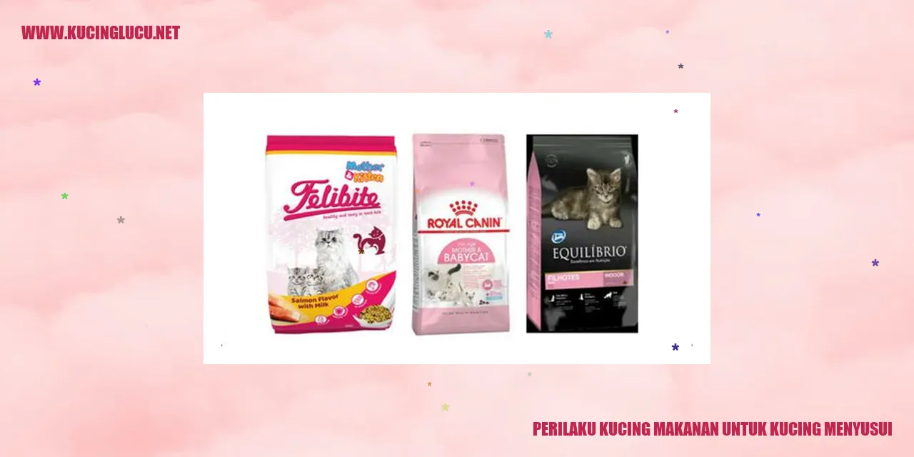Perilaku Kucing Makanan untuk Kucing Menyusui