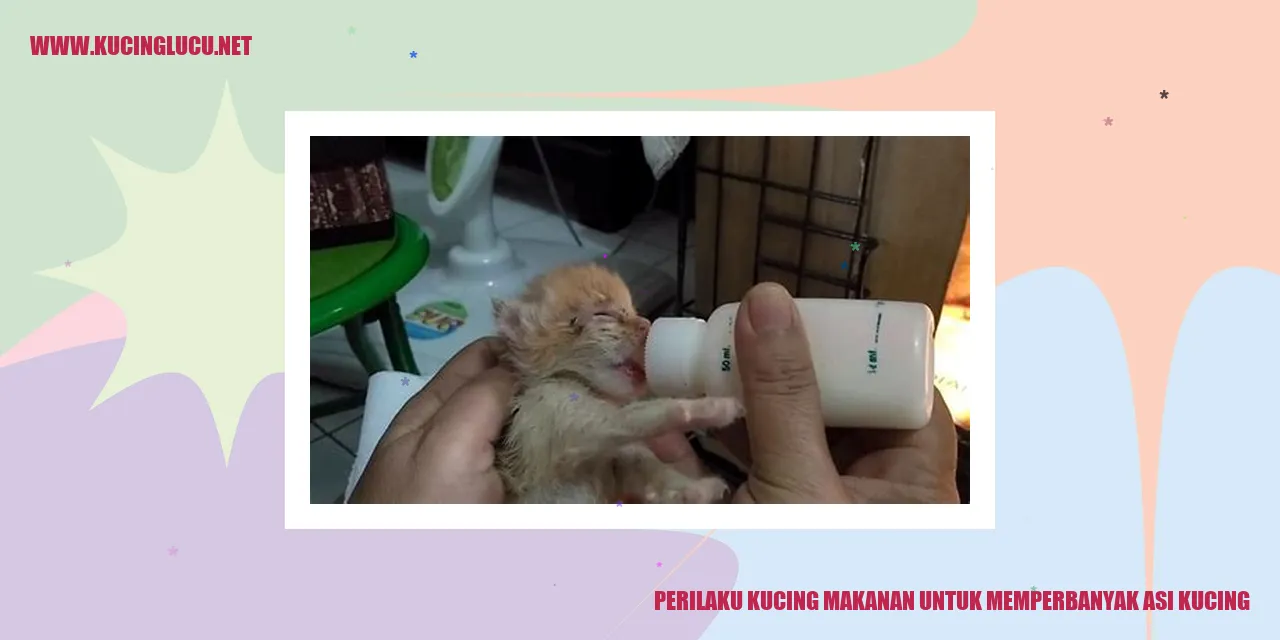 Gambar Kucing Sedang Menyusui