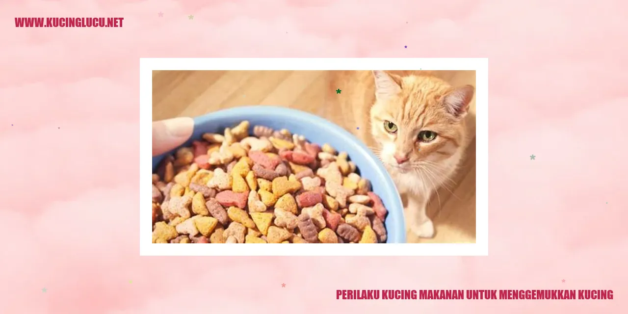 Perilaku Kucing Makanan