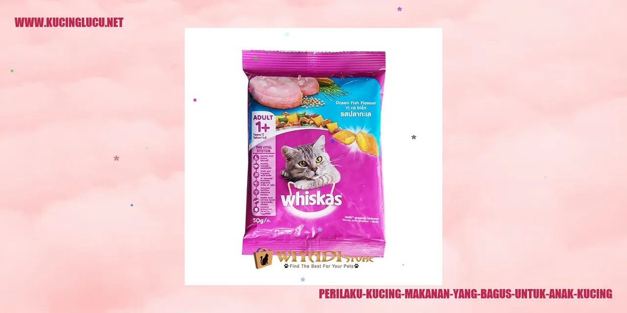 Gambar Pilihan Makanan yang Cocok untuk Anak Kucing