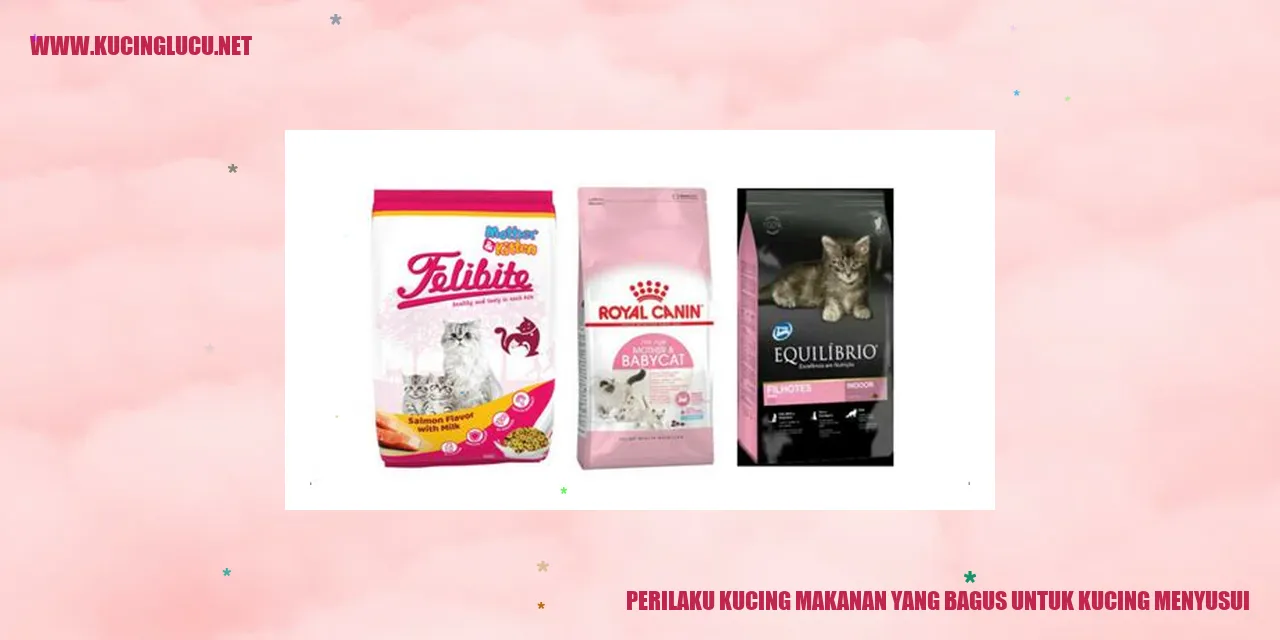 Perilaku Kucing Makanan Bagus untuk Kucing Menyusui