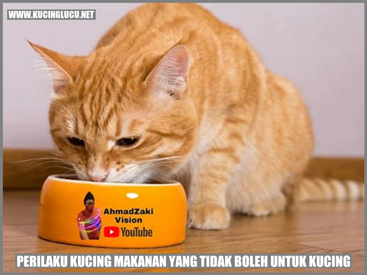 Perilaku Kucing makanan yang tidak boleh untuk kucing