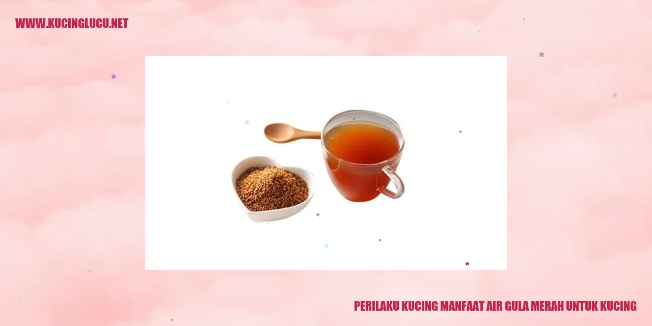 Perilaku Kucing manfaat air gula merah untuk kucing