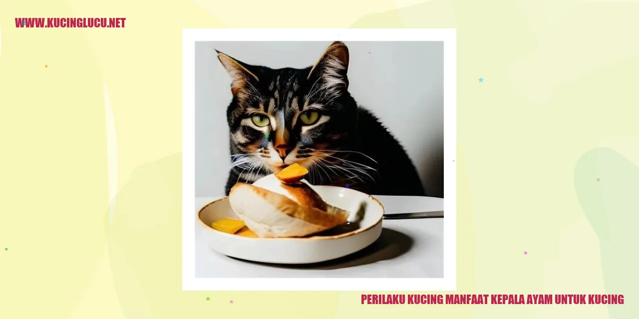 Gambar Kucing dengan kepala ayam