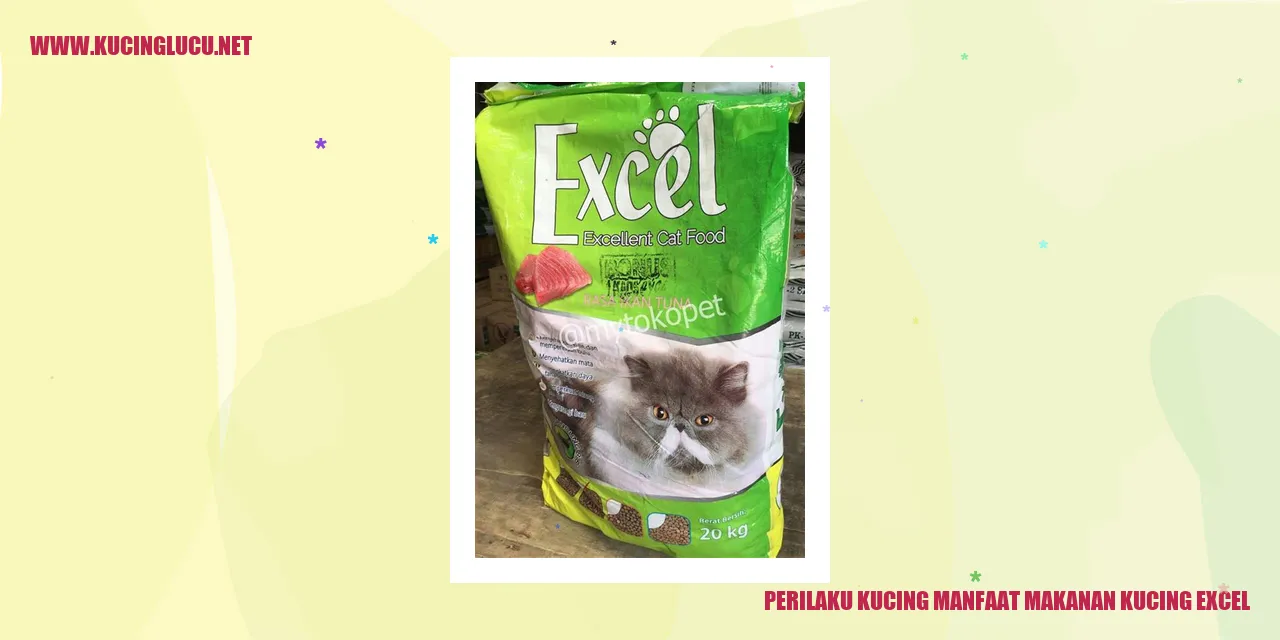 Perilaku Kucing manfaat makanan kucing excel