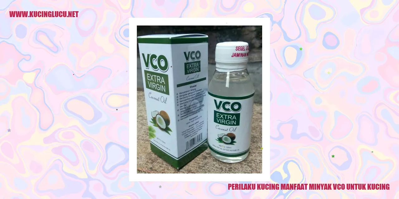 gambar kucing yang lucu