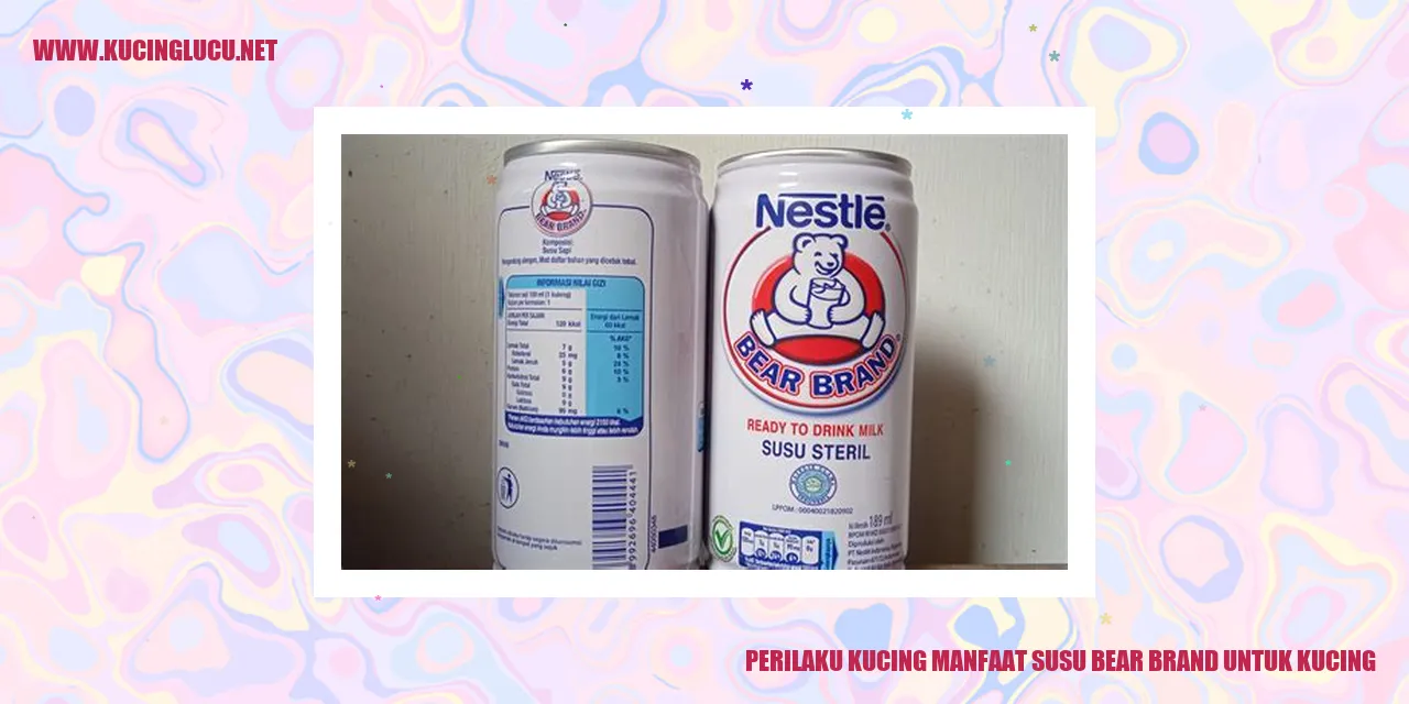 Perilaku Kucing