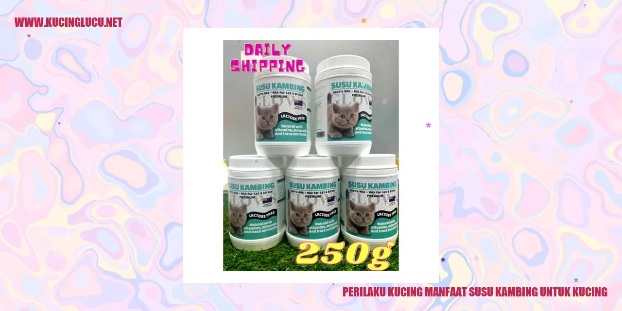 Kucing gemas minum susu kambing