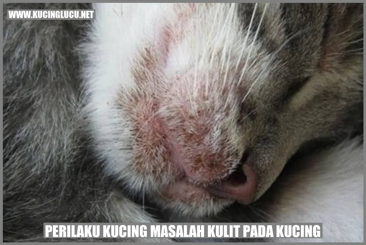 Kucing sedang menyikat diri untuk meredakan rasa gatal