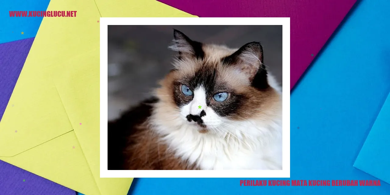 Perubahan Warna pada Mata Kucing