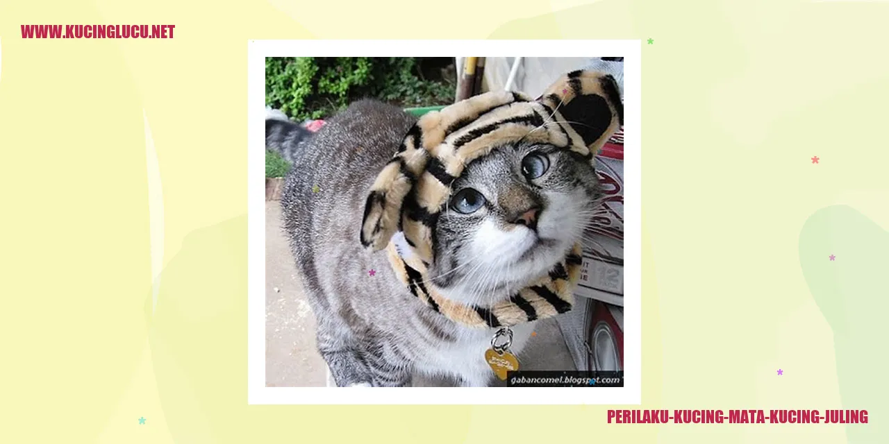 Perilaku Kucing Mata Kucing Juling