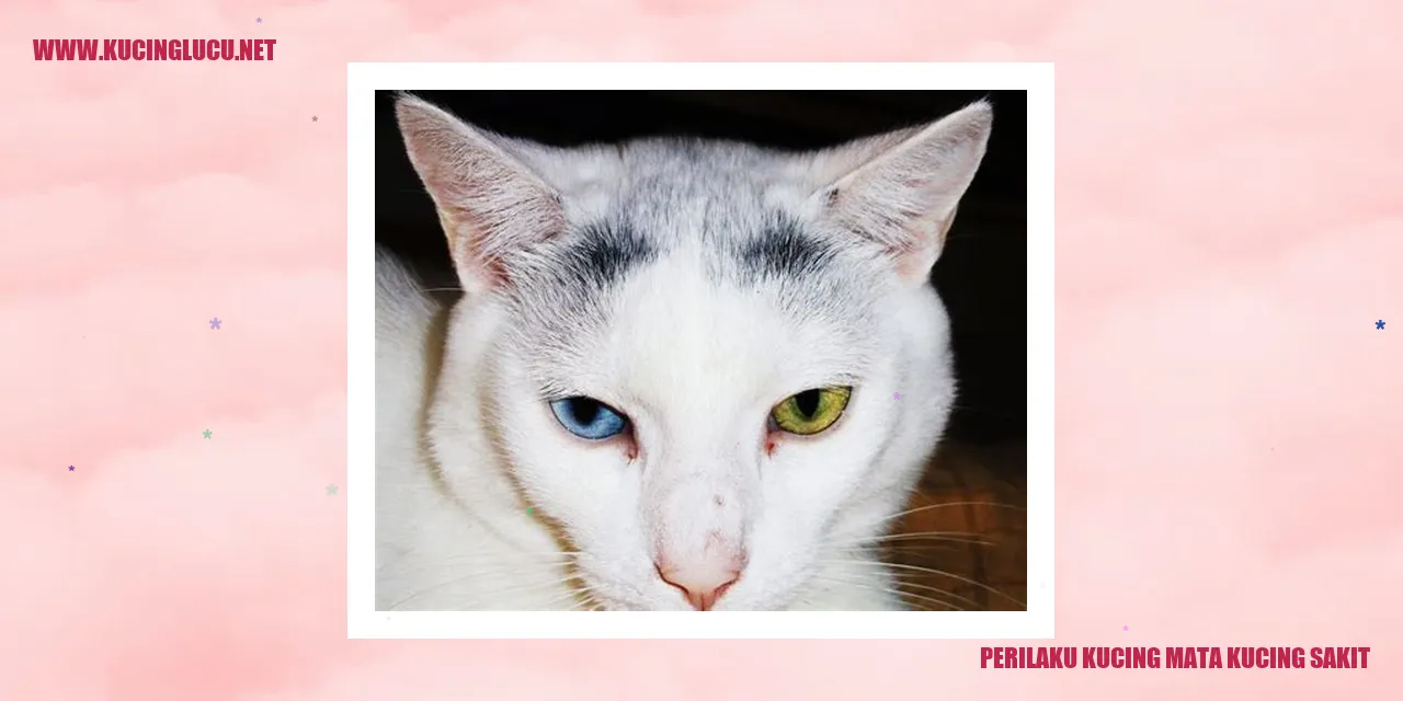 Perilaku Kucing mata kucing sakit