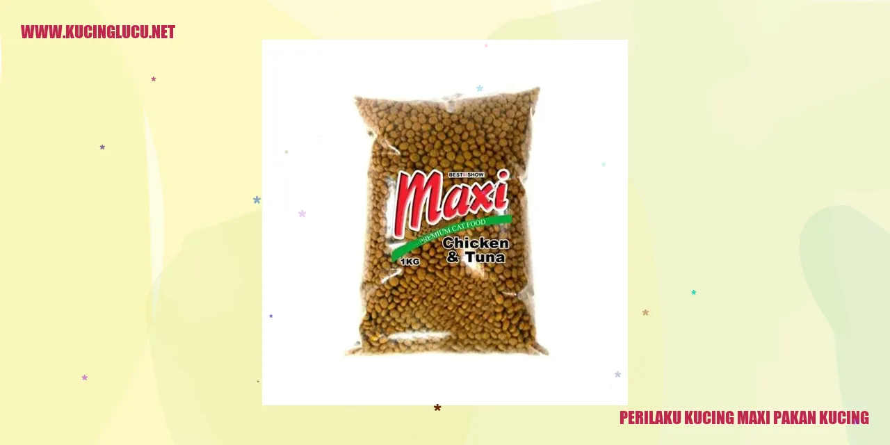 gambar perilaku kucing