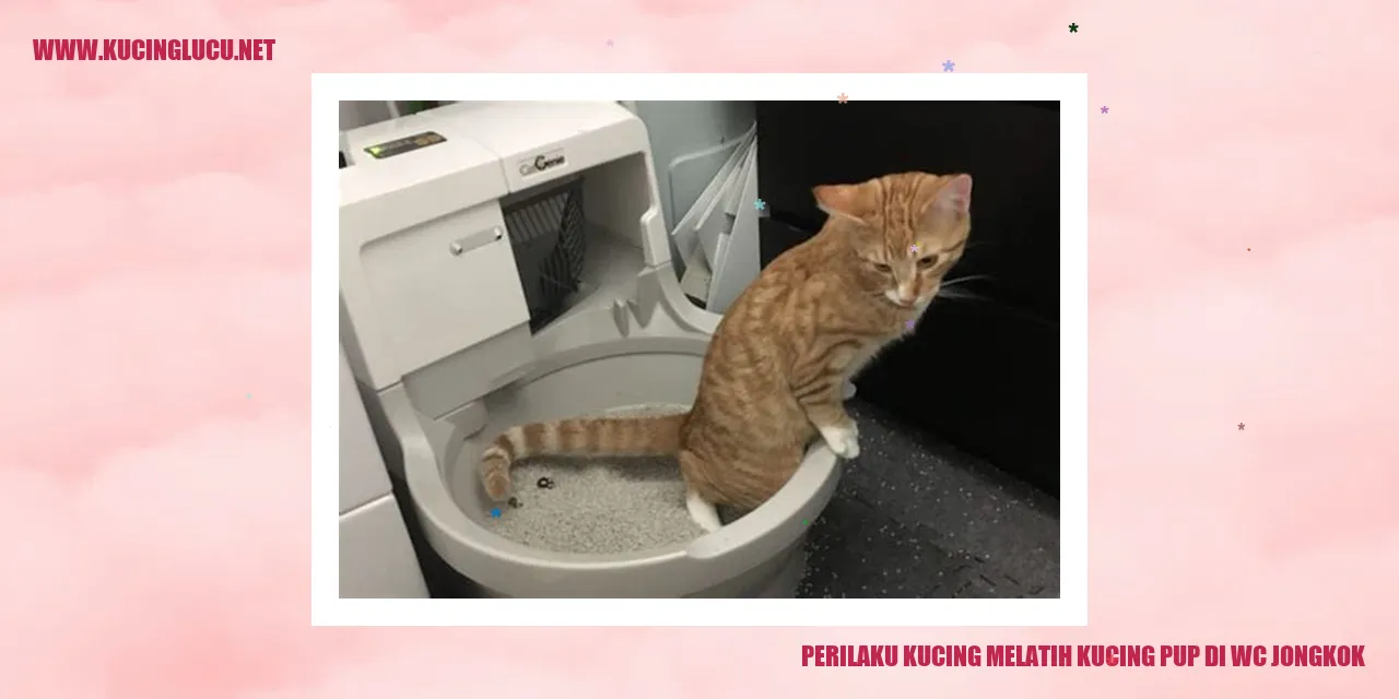 Perilaku Kucing Melatih Kucing Pup di WC Jongkok
