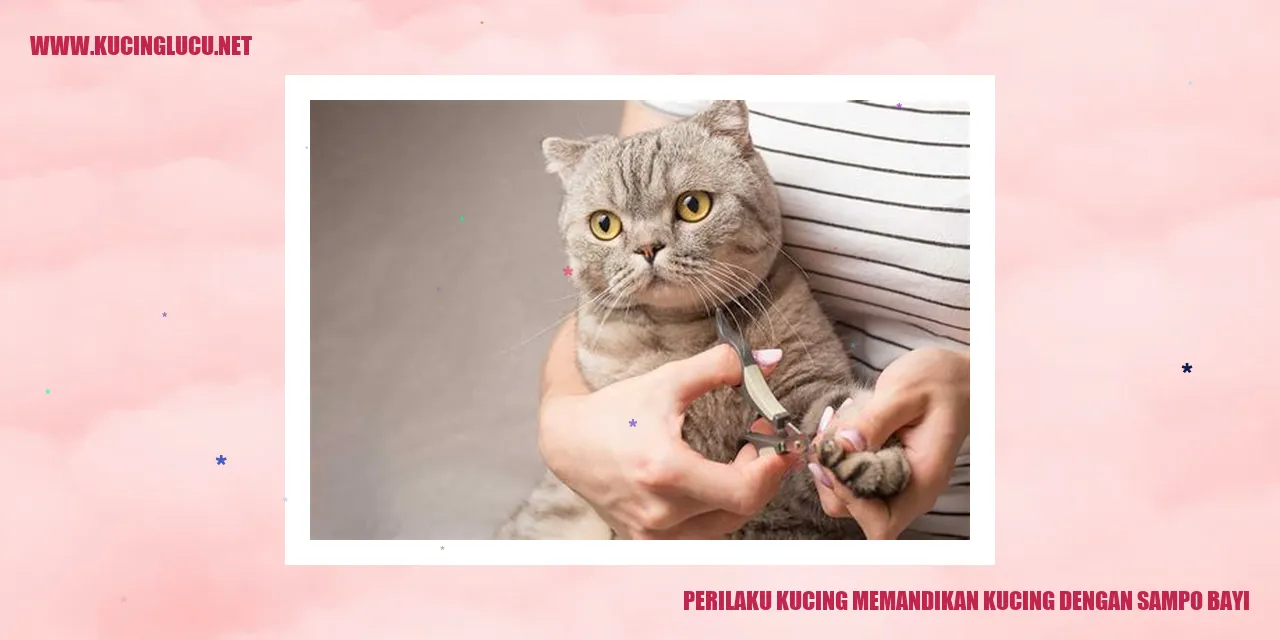 Kucing dengan sampo bayi