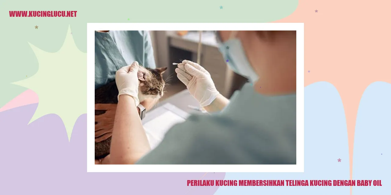 Kucing membersihkan telinga dengan baby oil