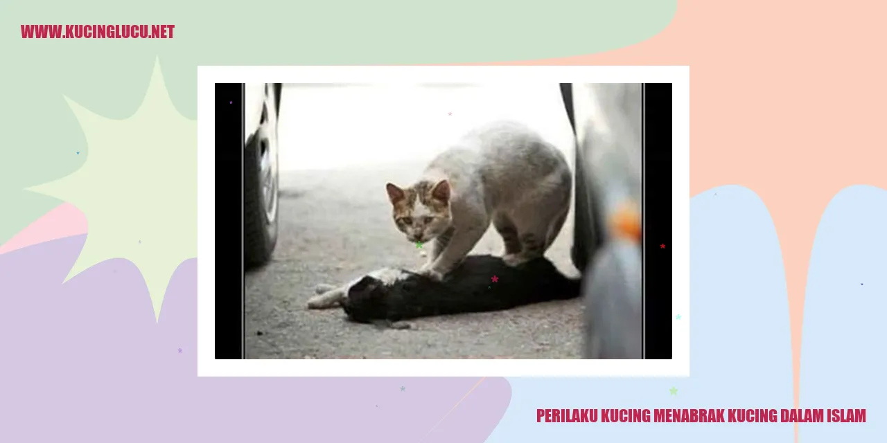 Ilustrasi Kucing Bertabrakan dengan Kucing