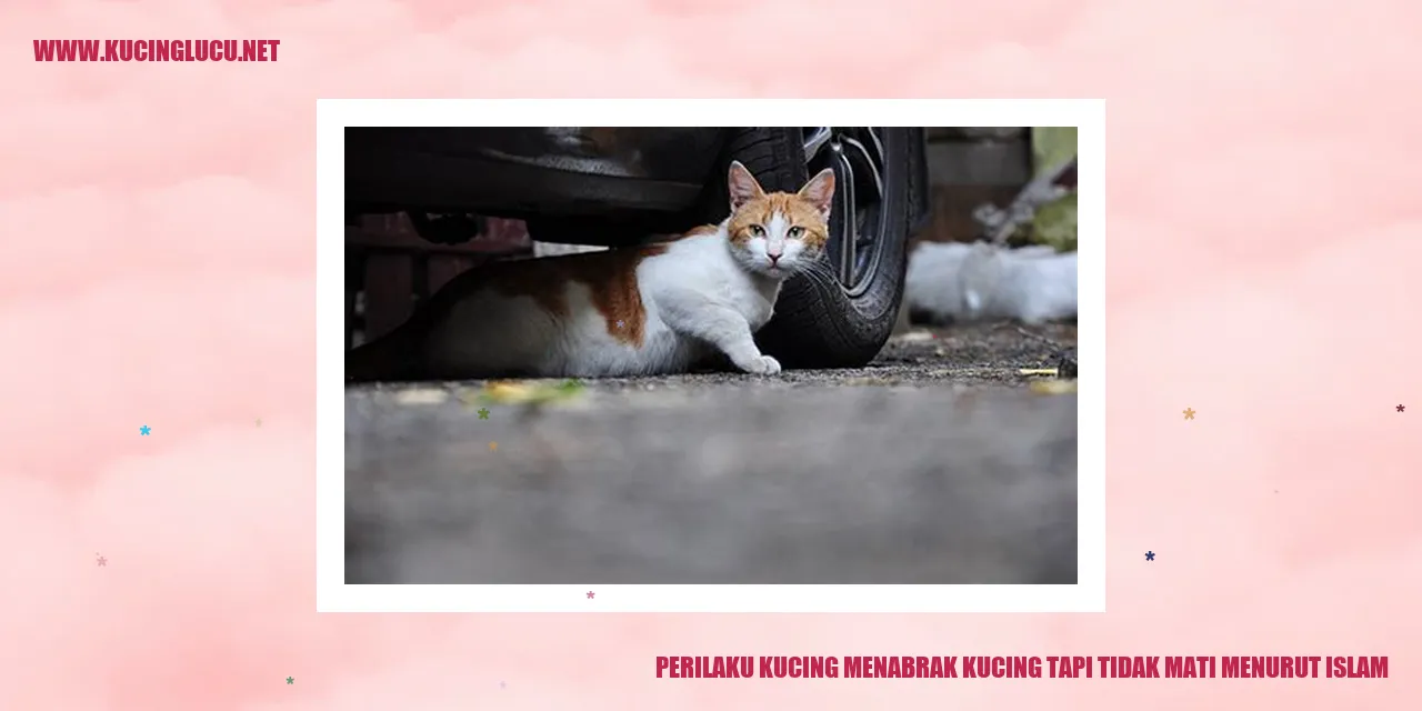Di dalam ajaran Islam, setiap makhluk hidup memiliki hak untuk hidup dan dihormati