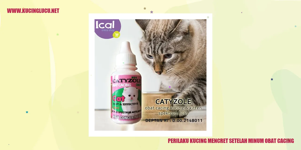 Kucing Mencret Setelah Minum Obat Cacing