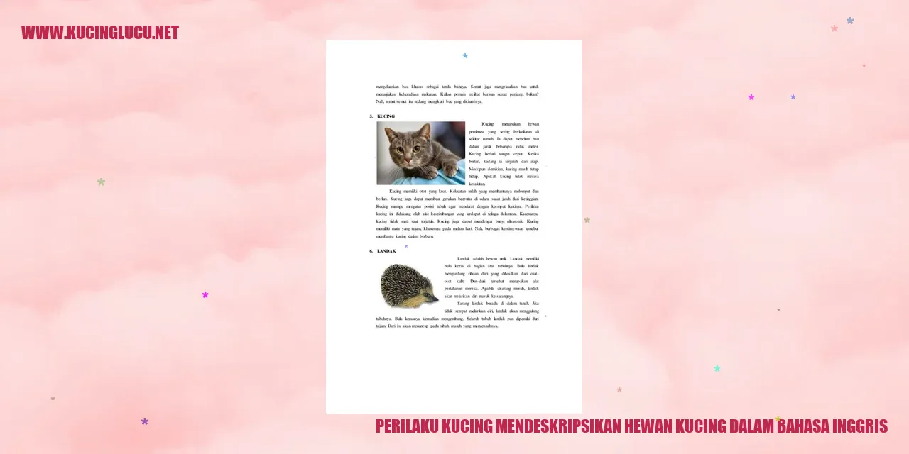 Perilaku Kucing
