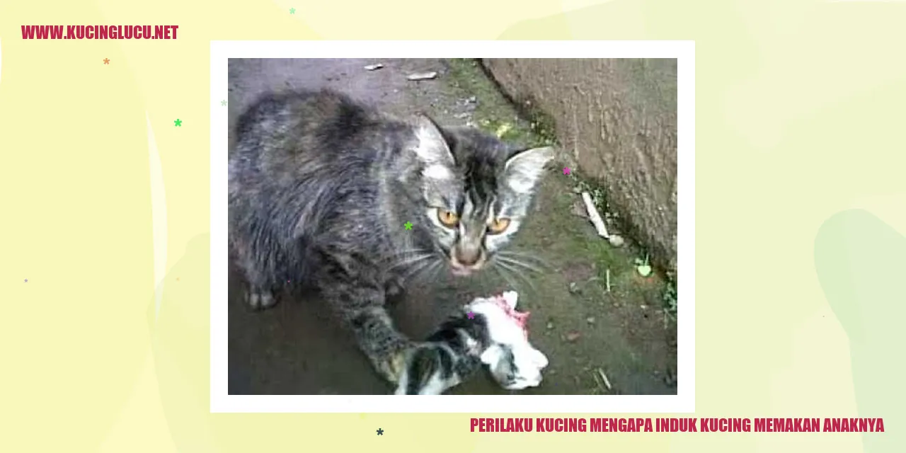 Kucing dan Anaknya