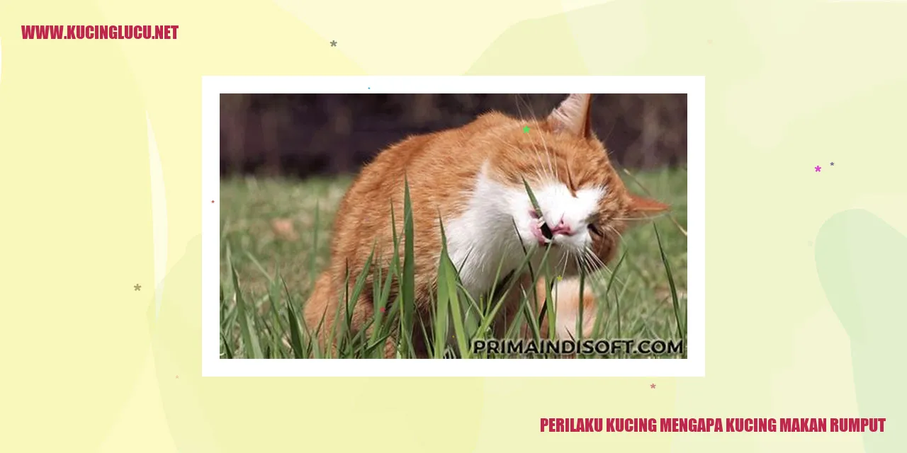 Kucing Makan Rumput