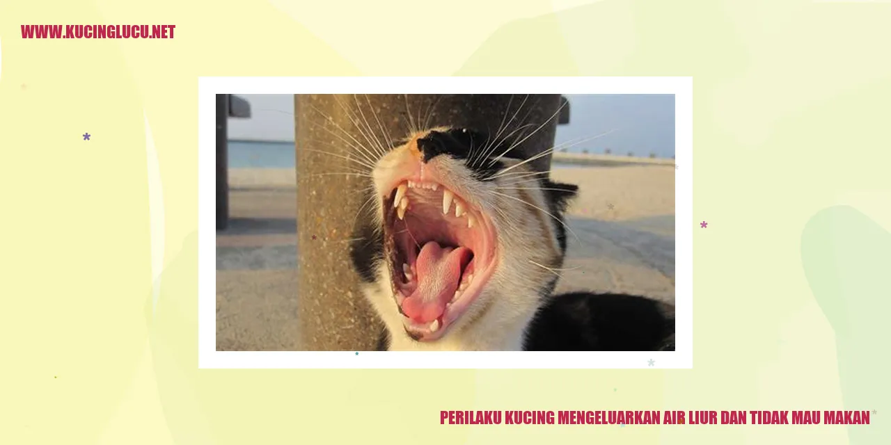 Perilaku Kucing Mengeluarkan Air Liur dan Menolak Makan