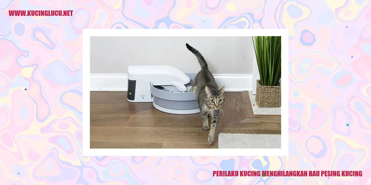 Kucing Menghilangkan Bau Pesing Kucing